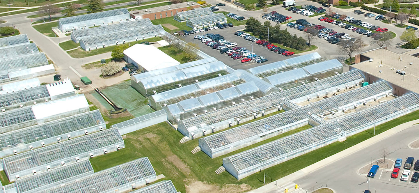 Aerial view of greenhouse