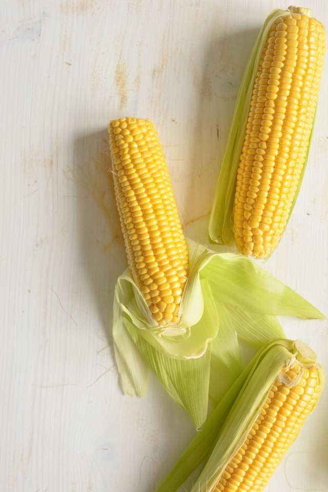 3 fresh corn cobs with husks