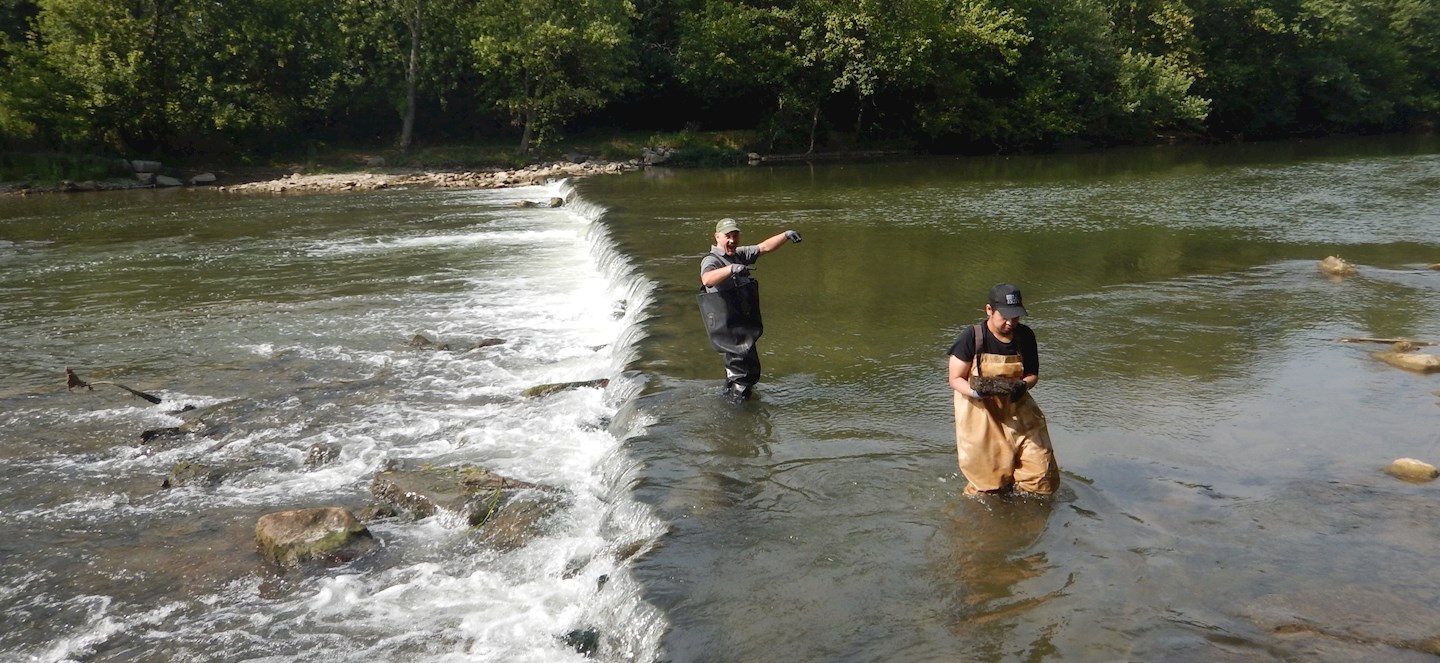 Two researchers doing work in a river