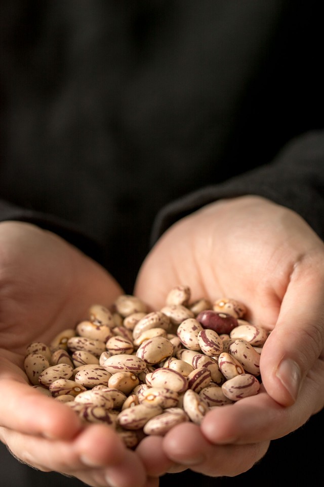 a handful of cranberry beans