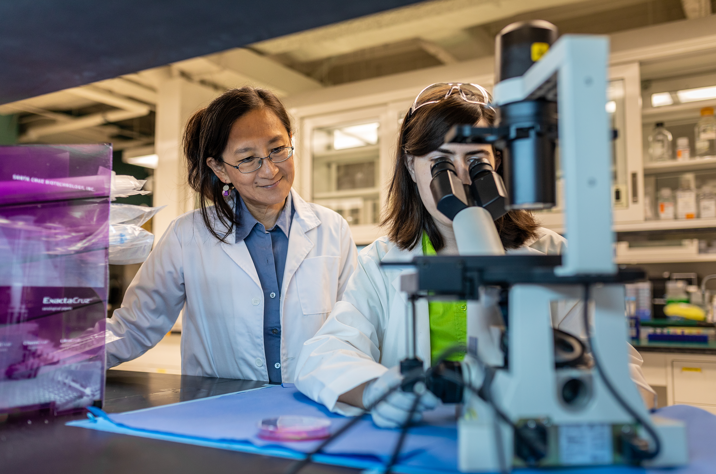 Two women in lab with one looking in microscope