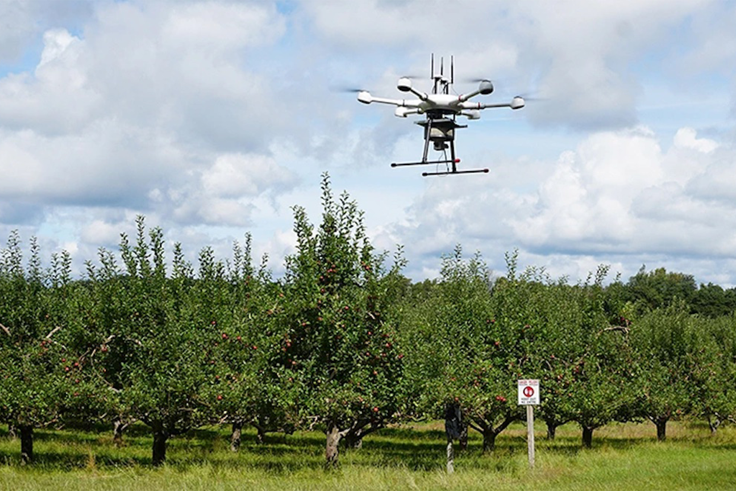 A drone flying in an orchard