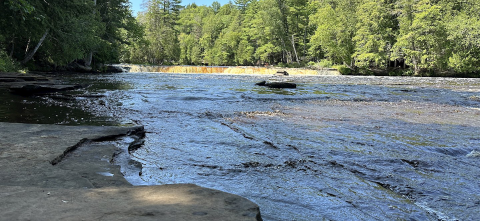 A river flowing to the Tahquamenon Falls