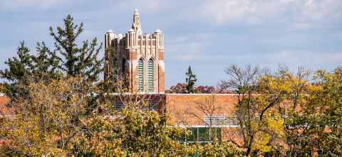 MSU Beaumon Tower in the background over campus