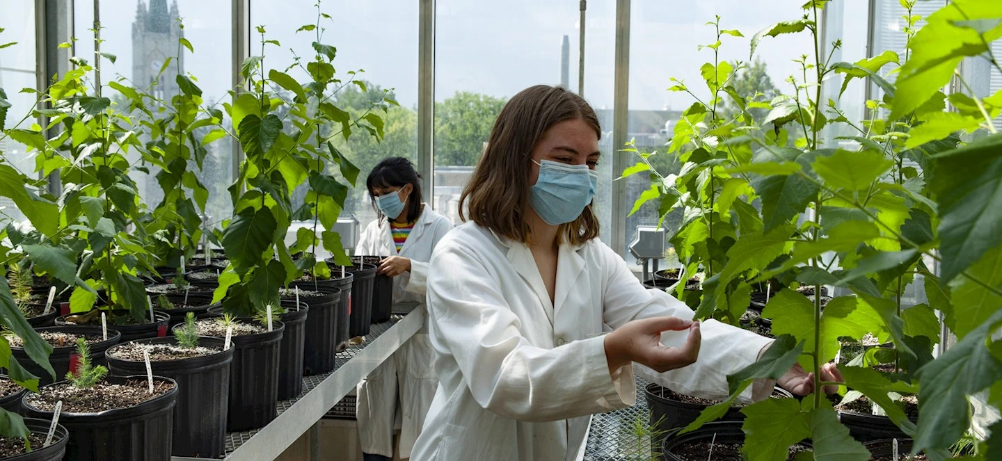 Two researchers wearing white coats in a plant lab