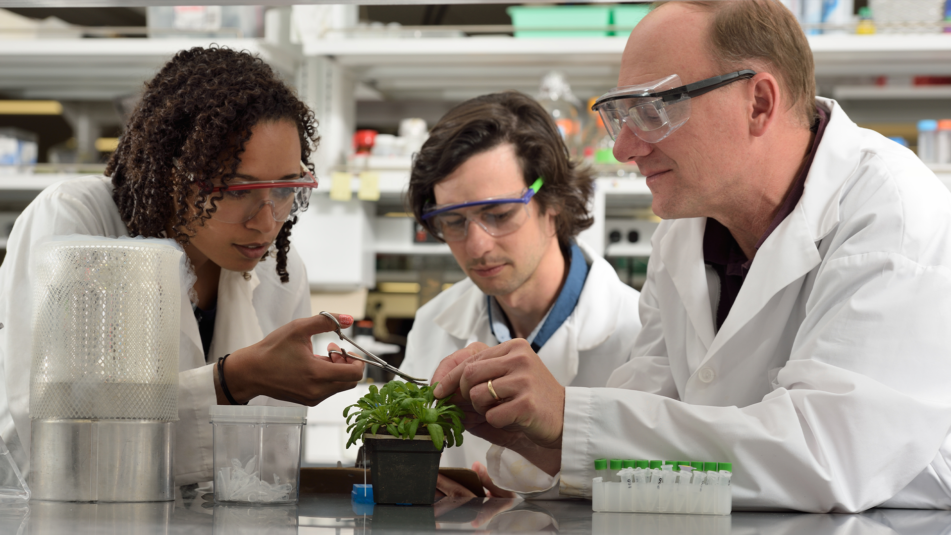 Gregg Howe and students in a lab