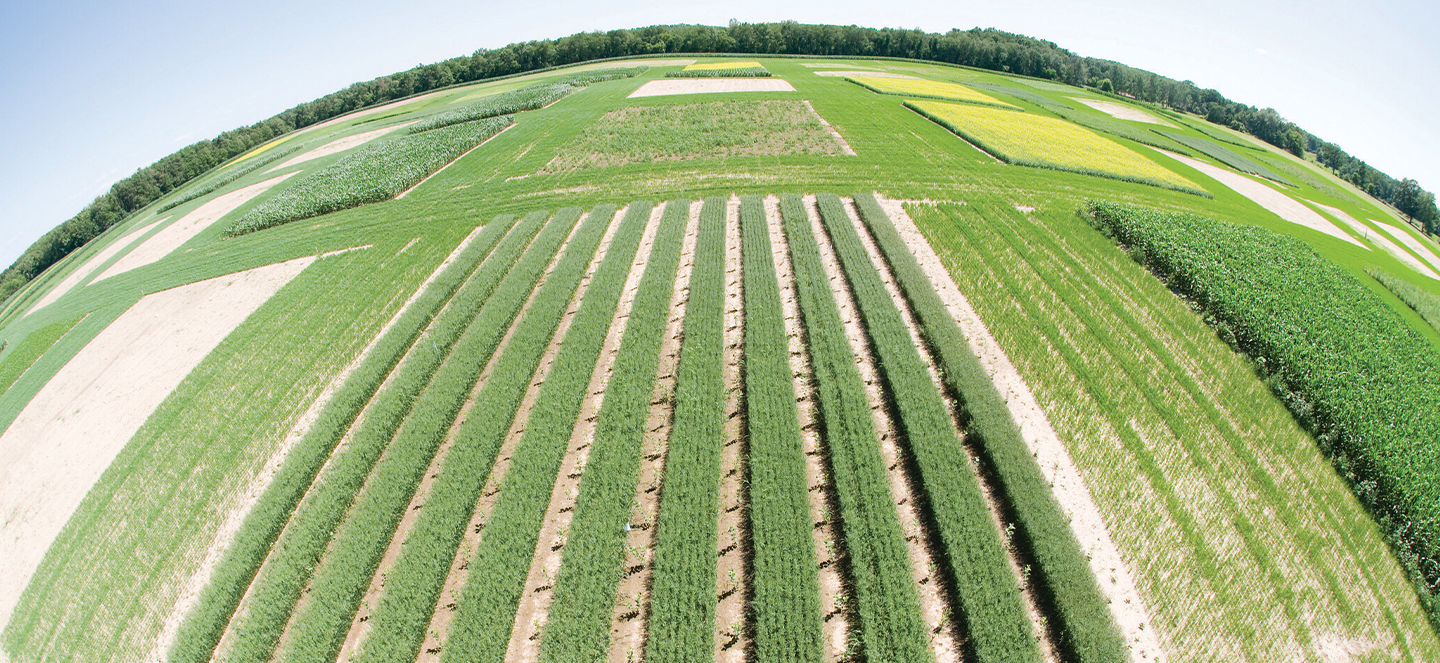 Wide angle camera view of a field