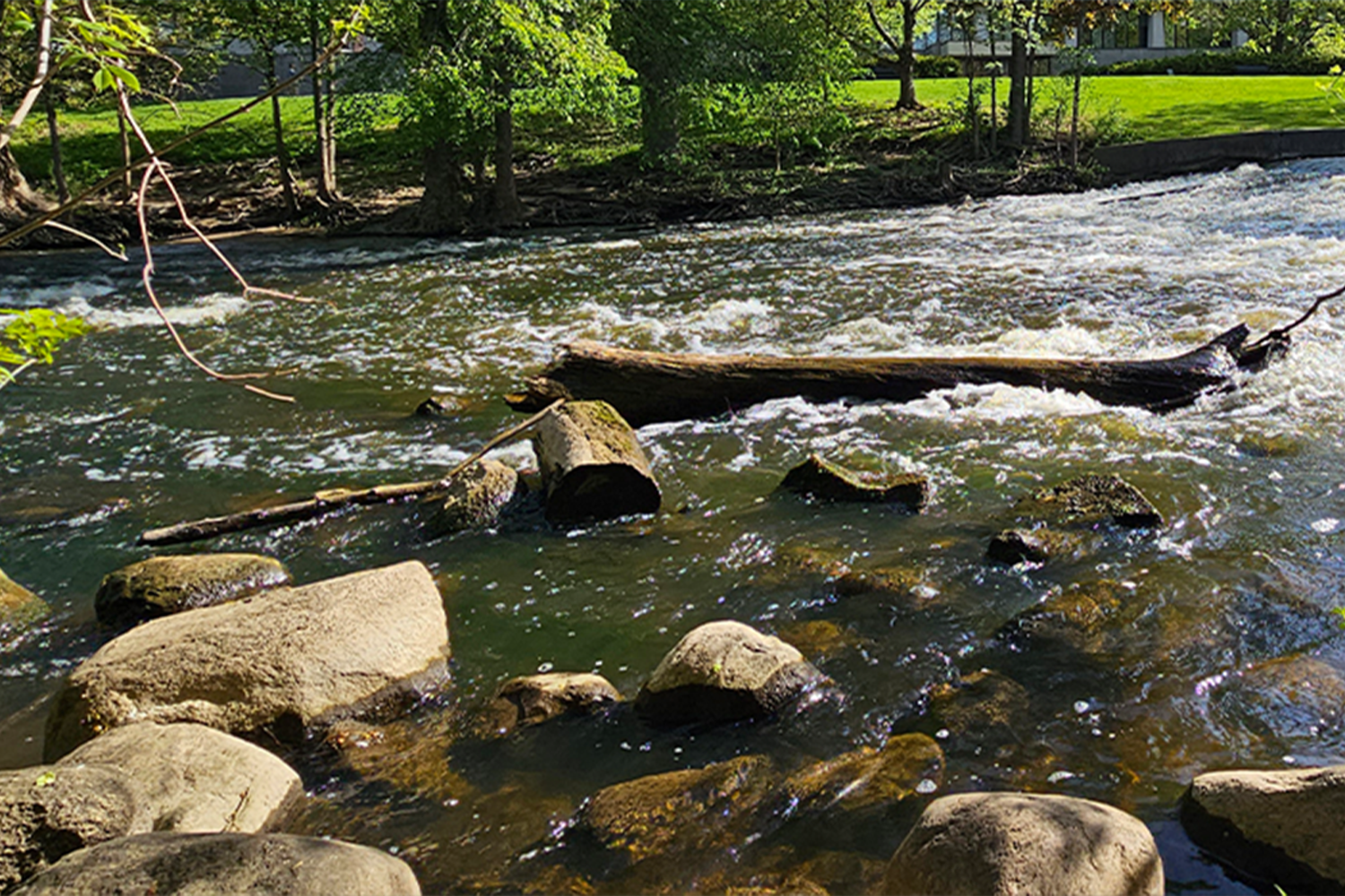 The Red Cedar River