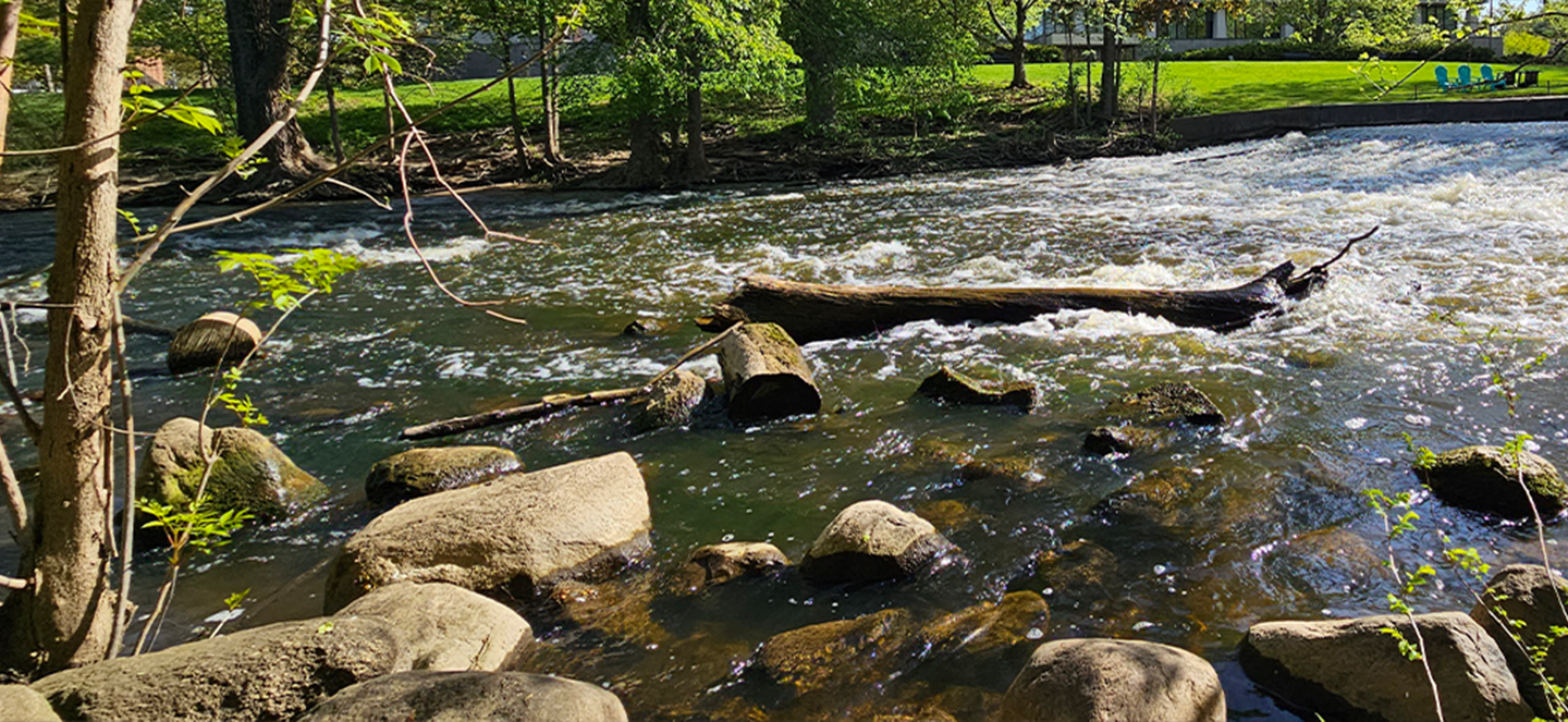 The Red Cedar River